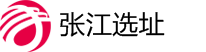 张江在线